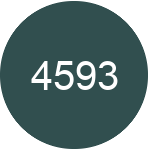 4593 Hvad betyder forkortelsen