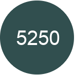 5250 Hvad betyder forkortelsen