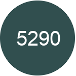 5290 Hvad betyder forkortelsen