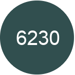 6230 Hvad betyder forkortelsen